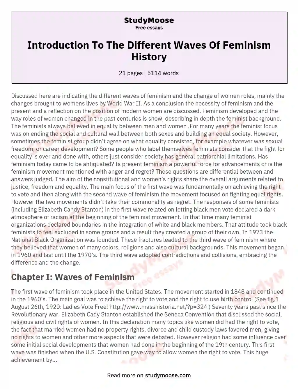 Introduction To The Different Waves Of Feminism History