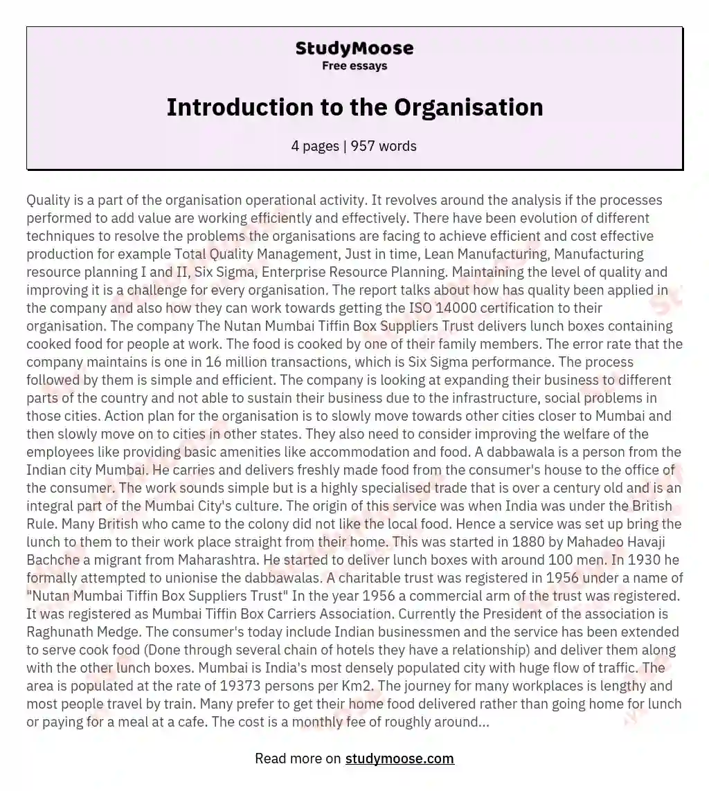 Introduction to the Organisation essay