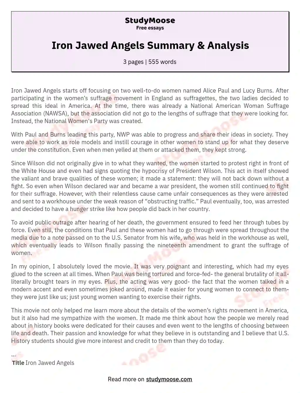 Iron Jawed Angels Summary & Analysis essay