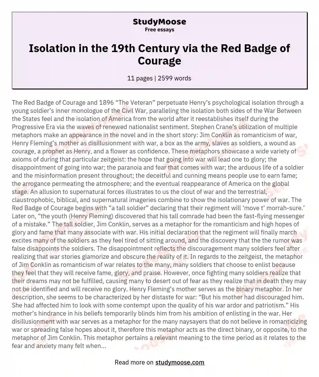 Isolation in the 19th Century via the Red Badge of Courage essay