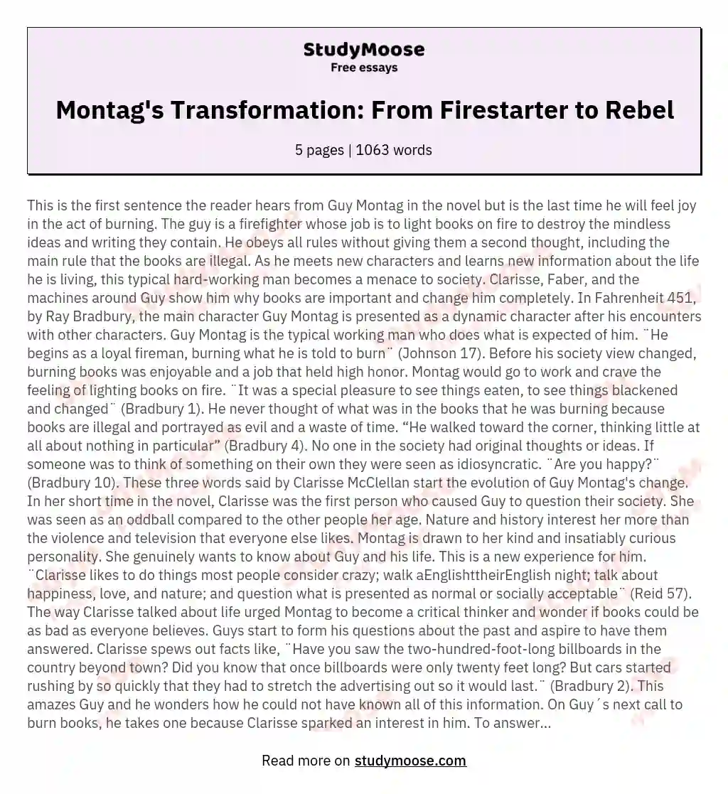 Montag's Transformation: From Firestarter to Rebel essay