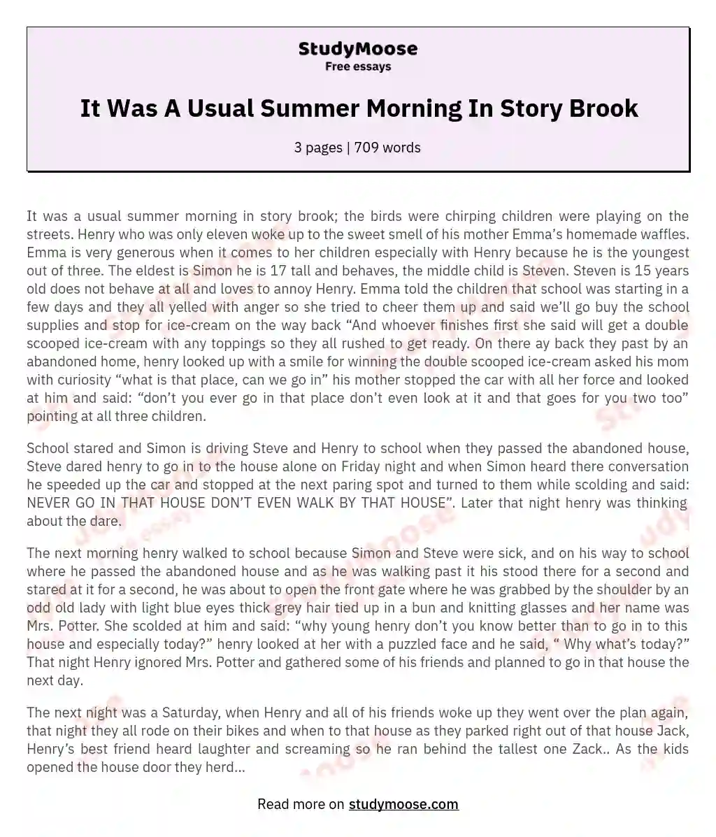 It Was A Usual Summer Morning In Story Brook essay