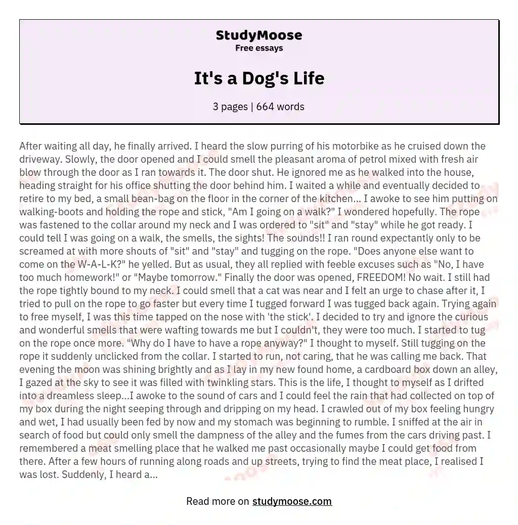 It's a Dog's Life essay