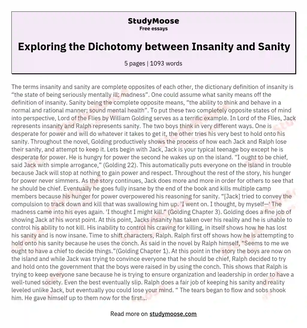Exploring the Dichotomy between Insanity and Sanity essay