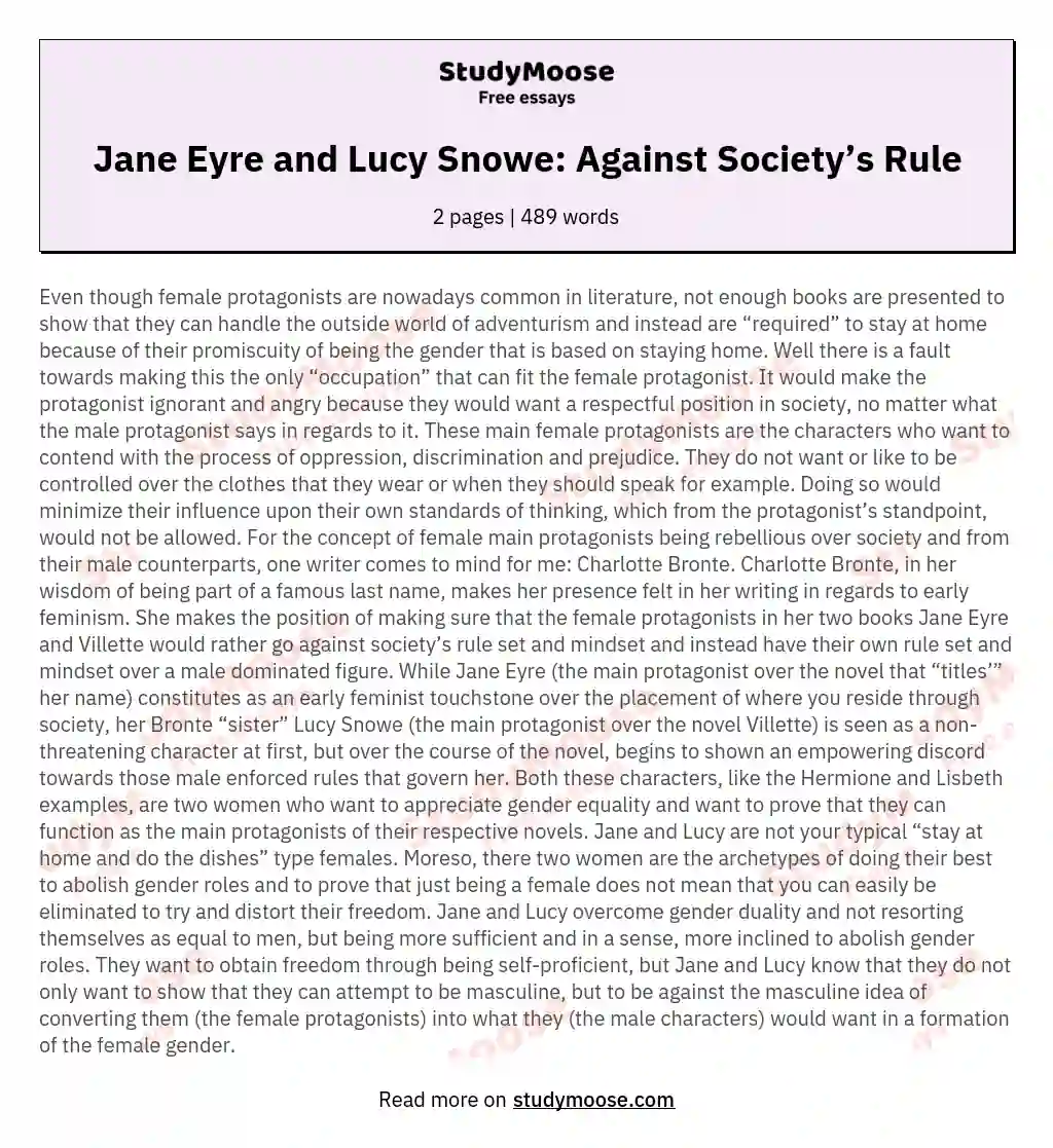Jane Eyre and Lucy Snowe: Against Society’s Rule essay