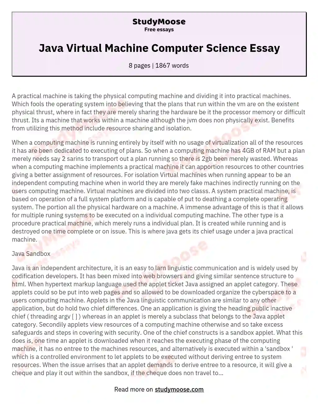 Java Virtual Machine Computer Science Essay essay