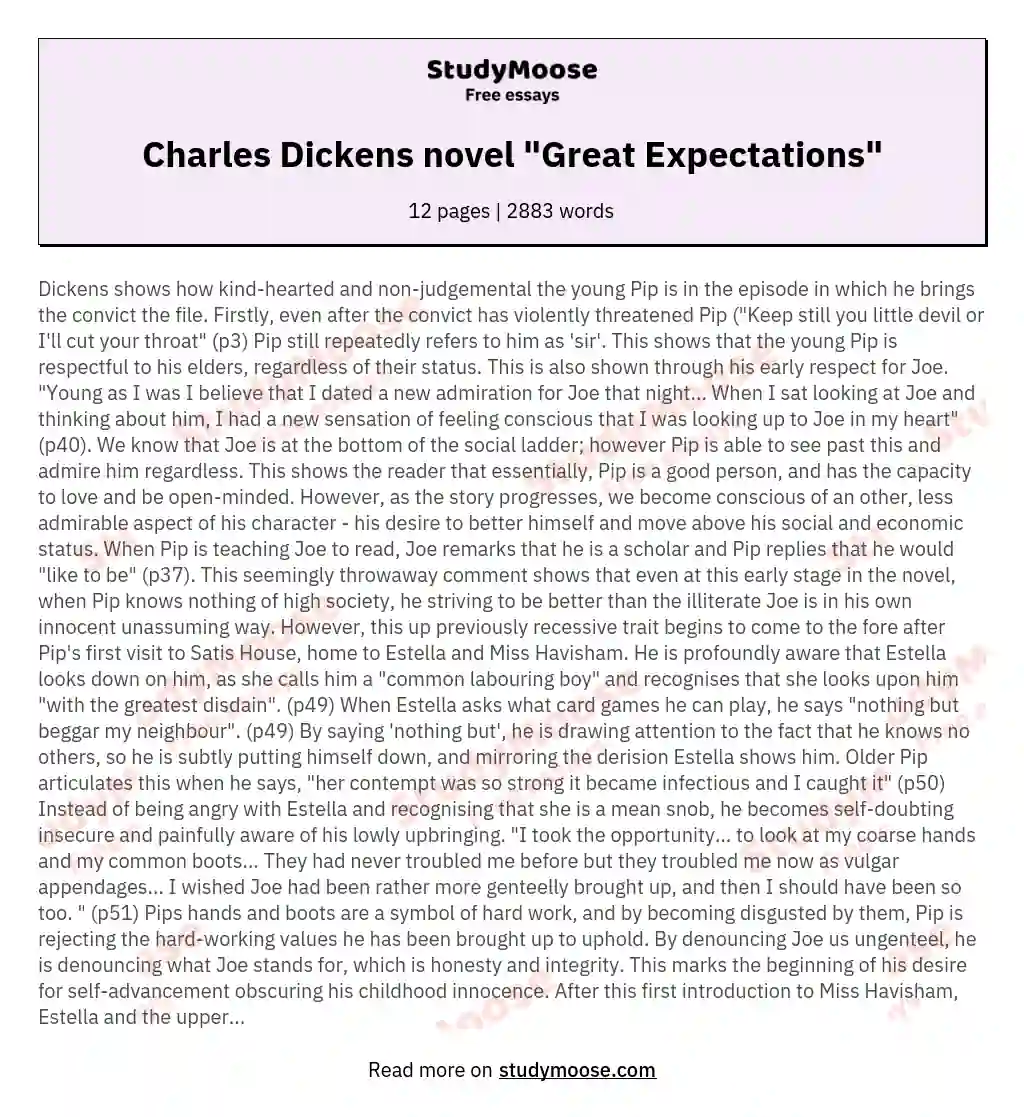 Charles Dickens novel "Great Expectations" essay