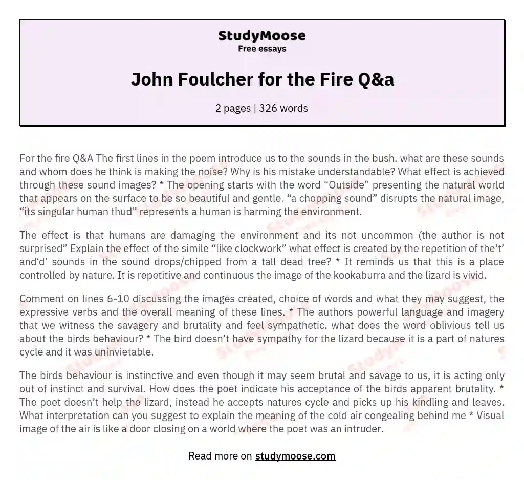 John Foulcher for the Fire Q&amp;a essay