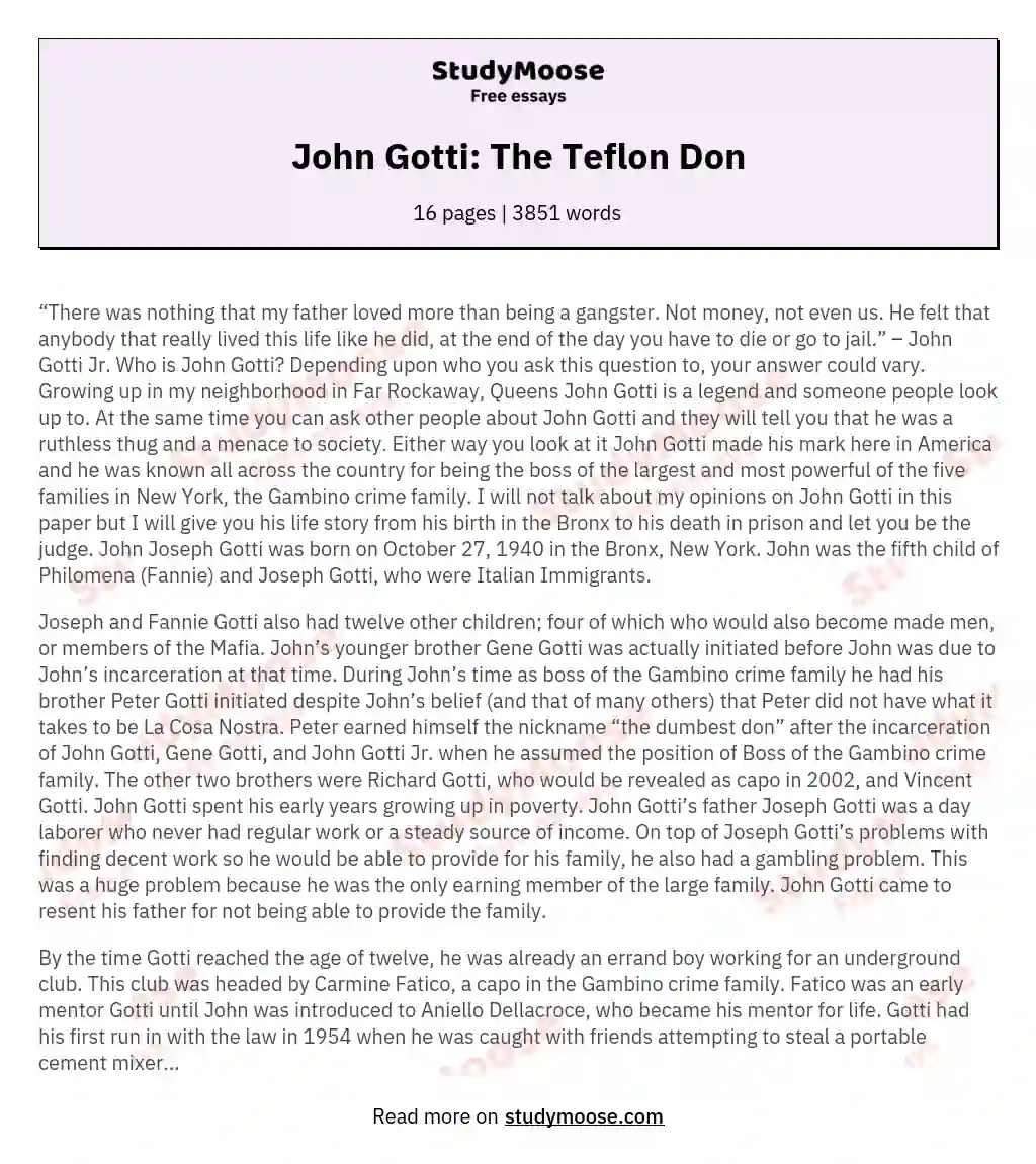 John Gotti: The Teflon Don essay