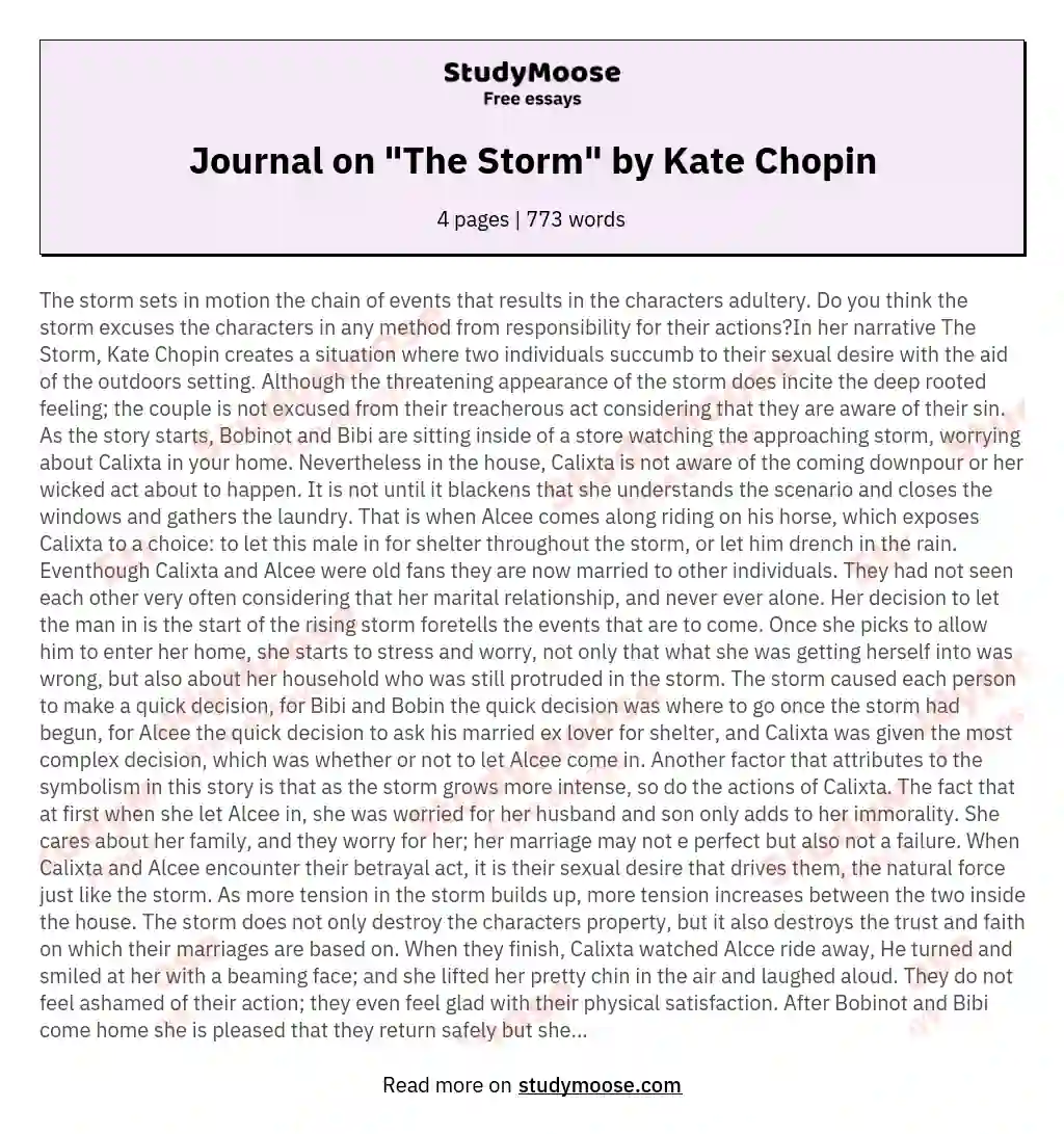 Journal on "The Storm" by Kate Chopin essay