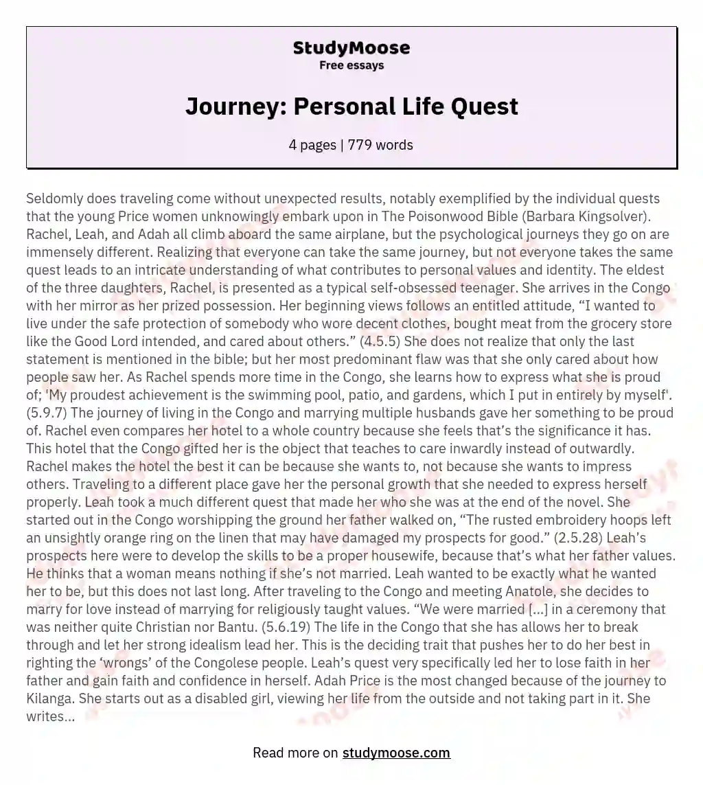 Journey: Personal Life Quest essay