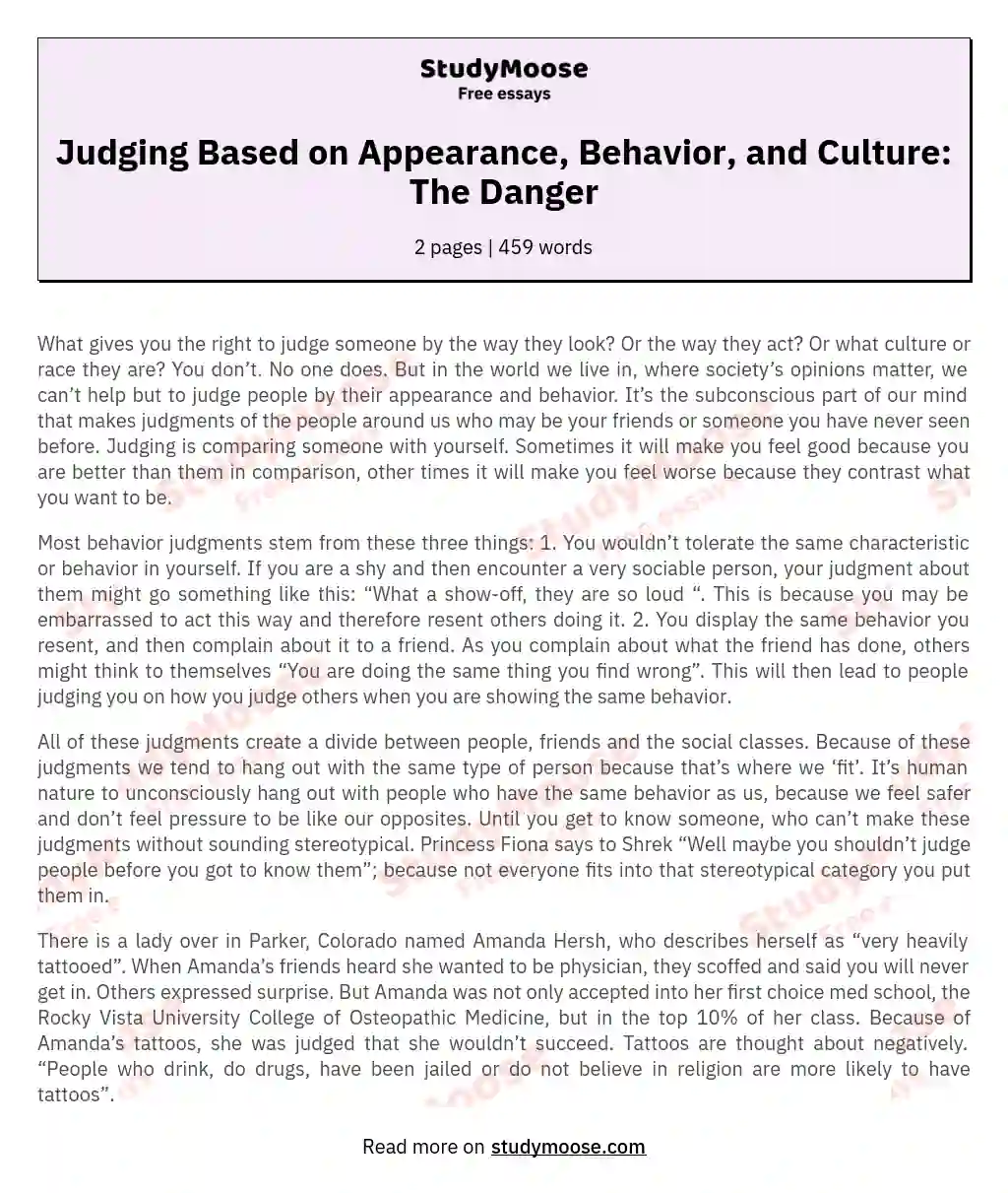 Judging Based on Appearance, Behavior, and Culture: The Danger essay