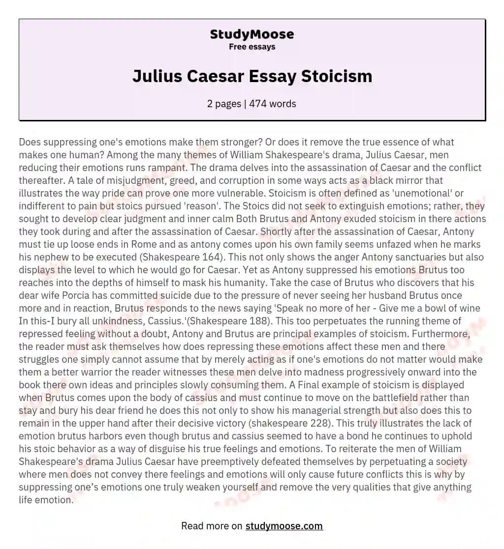 Julius Caesar Essay Stoicism essay