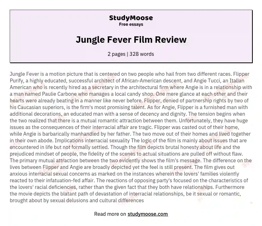 Jungle Fever Film Review essay