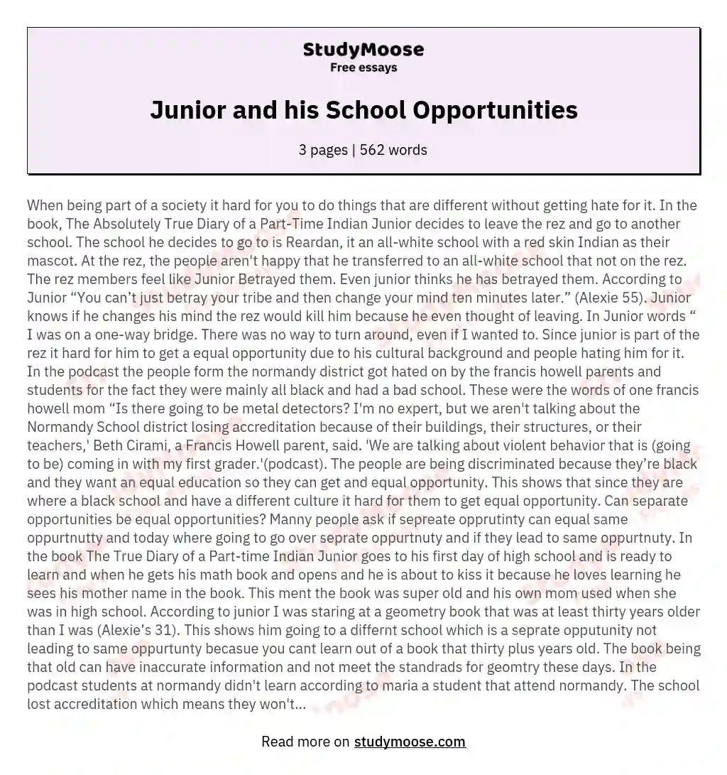 Junior and his School Opportunities essay