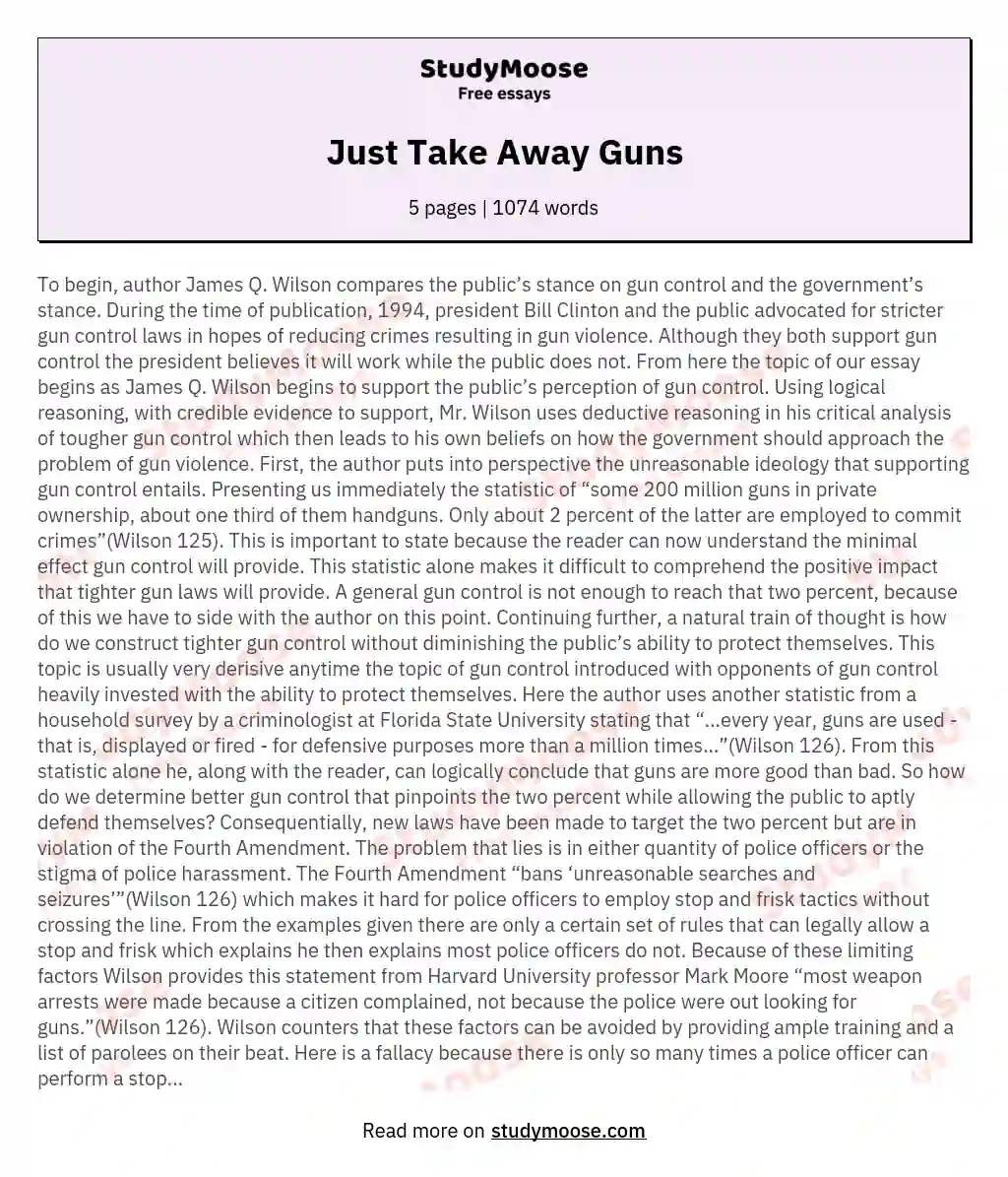 Just Take Away Guns essay