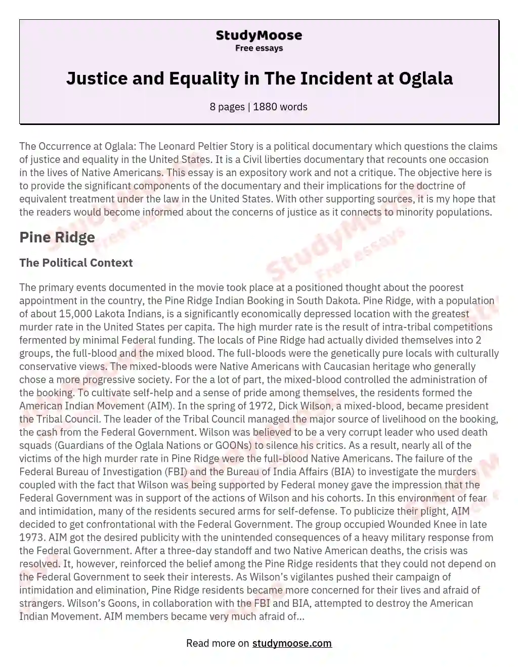 Justice and Equality in The Incident at Oglala essay