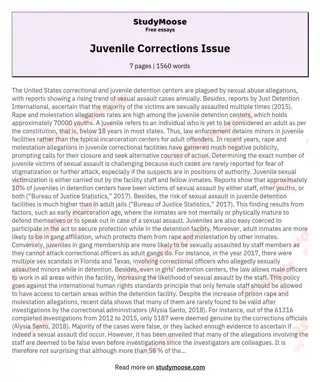 Juvenile Corrections Issue essay