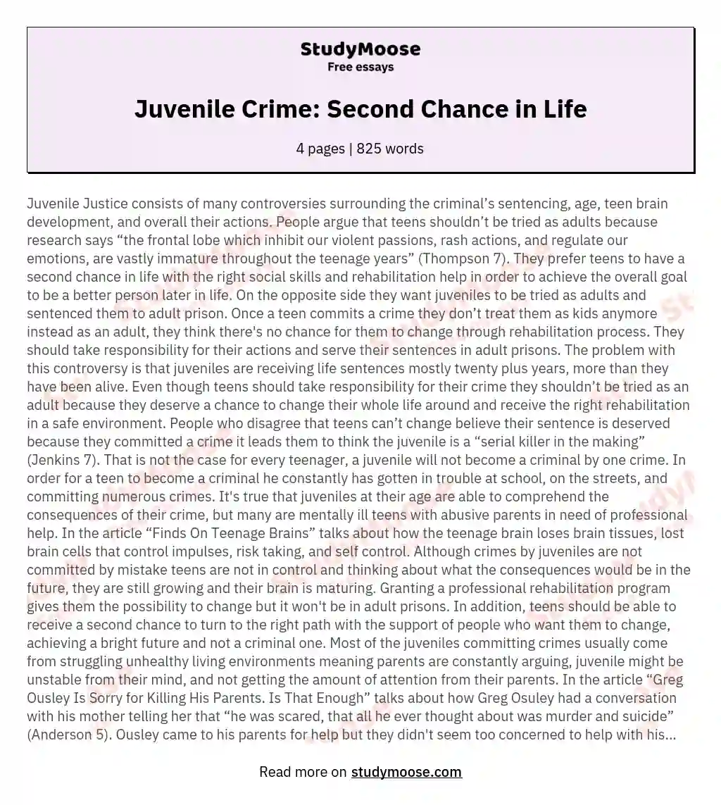 Juvenile Crime: Second Chance in Life essay