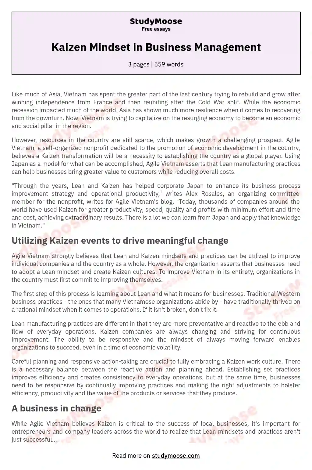 Kaizen Mindset in Business Management essay