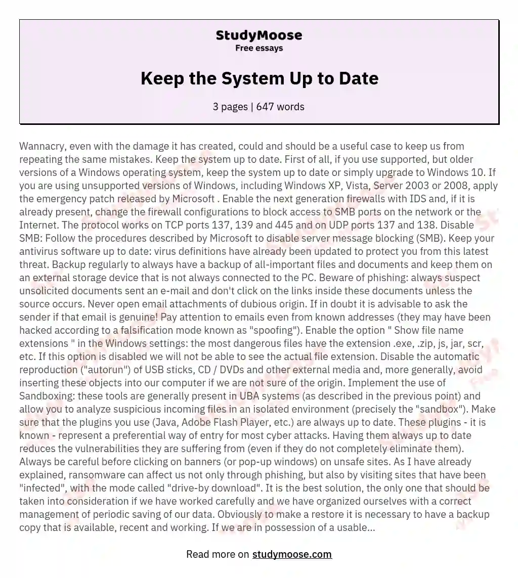 Keep the System Up to Date essay