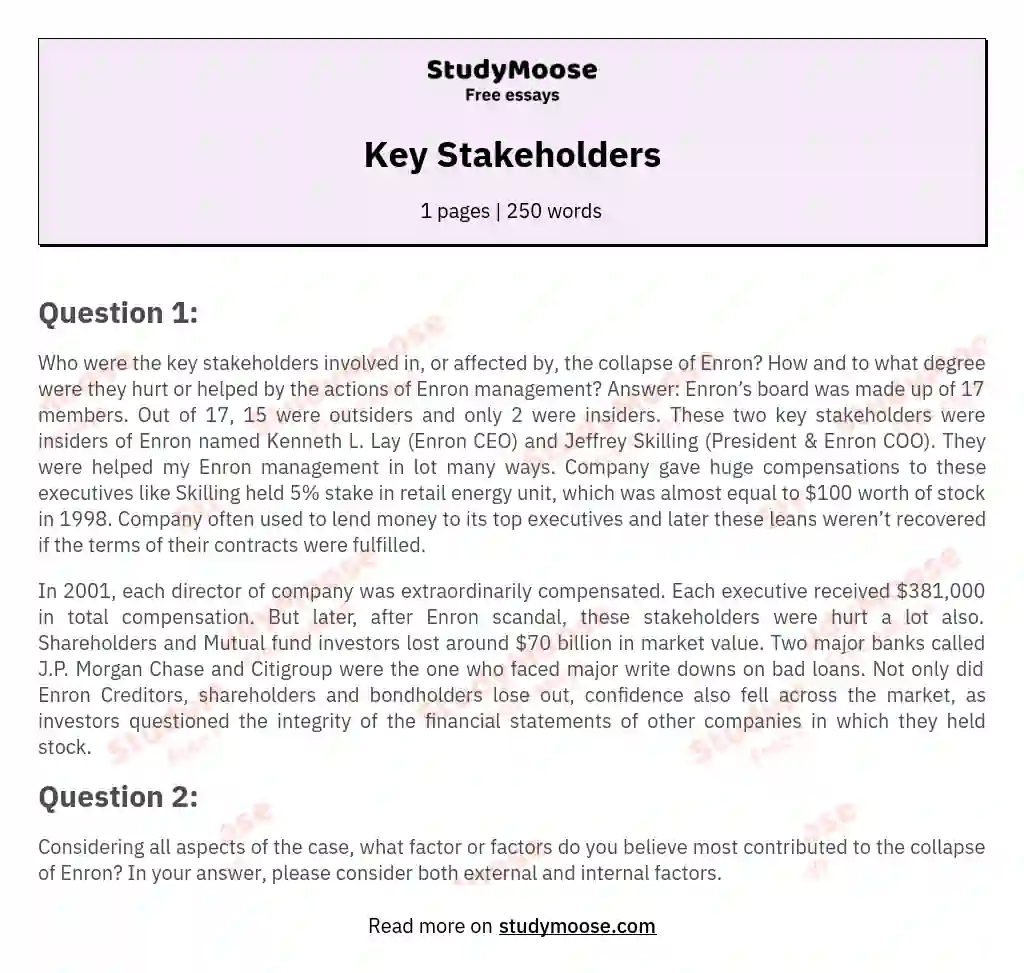Key Stakeholders essay