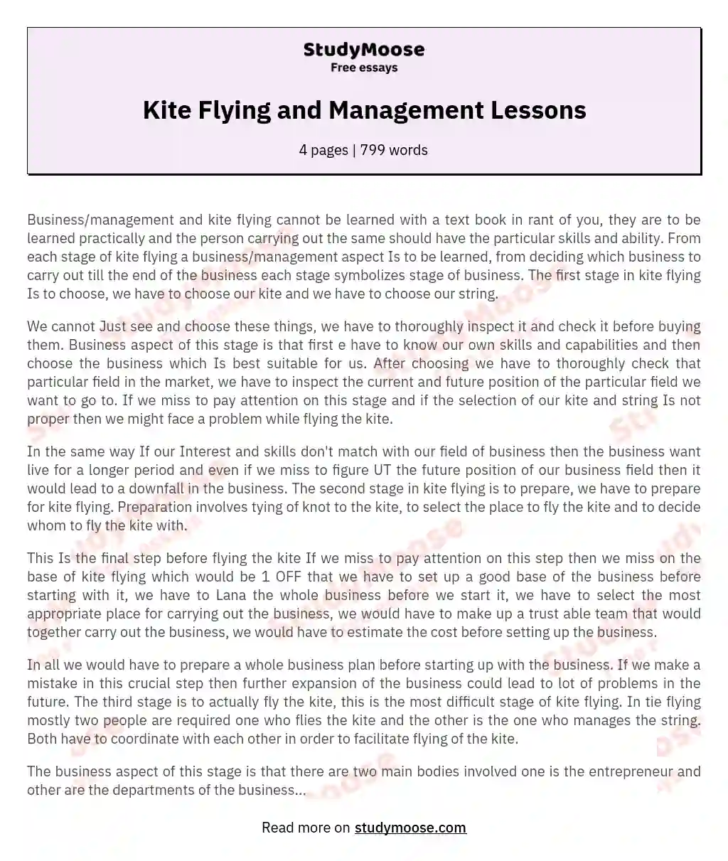 Kite Flying and Management Lessons essay