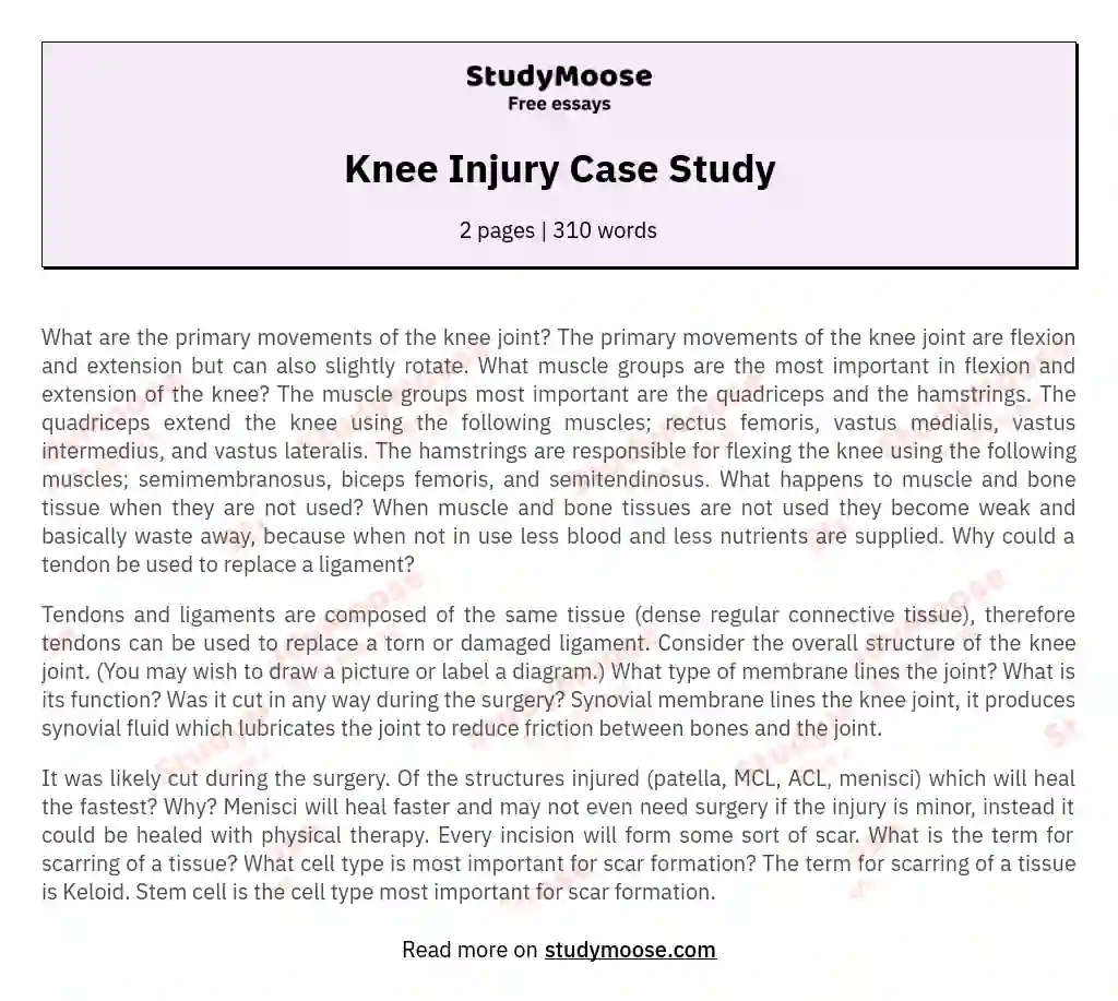 Knee Injury Case Study essay