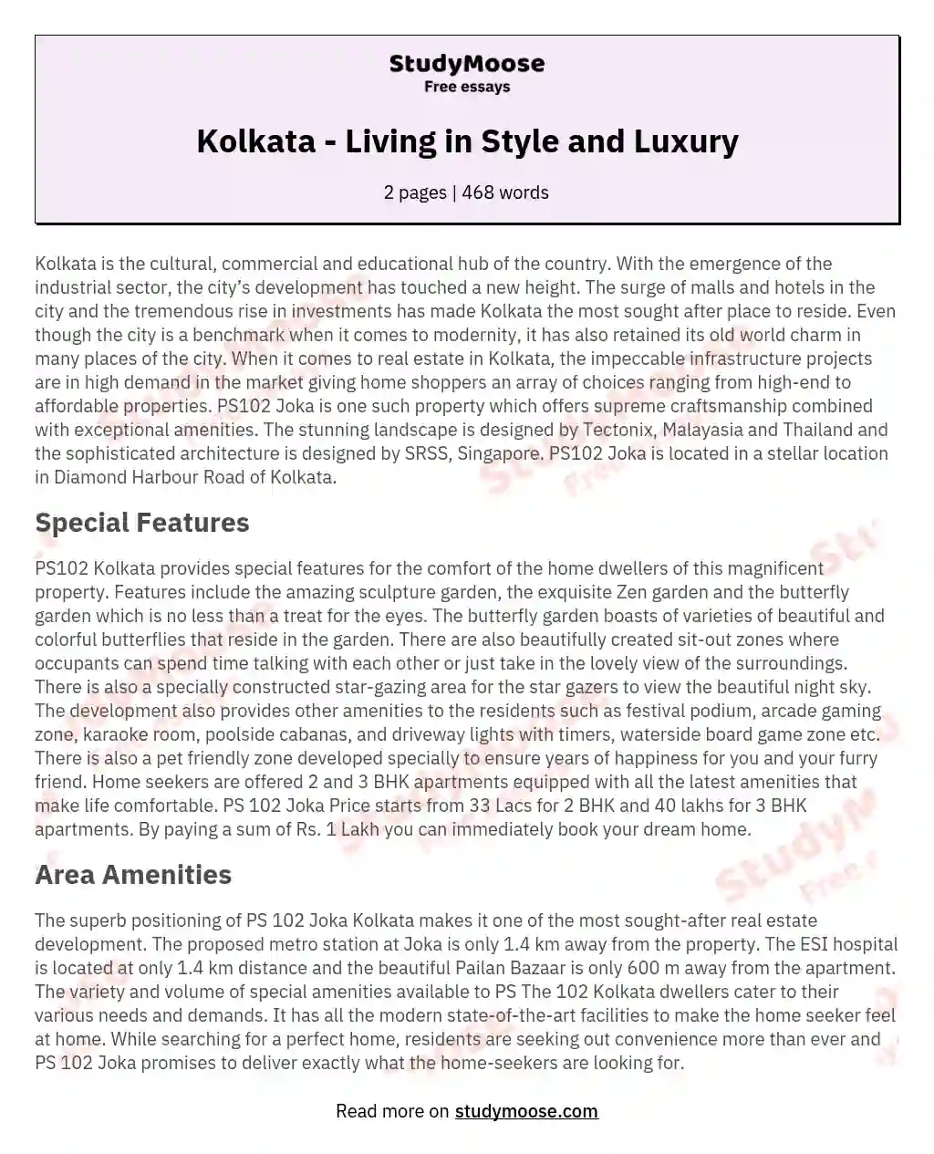 Kolkata - Living in Style and Luxury essay