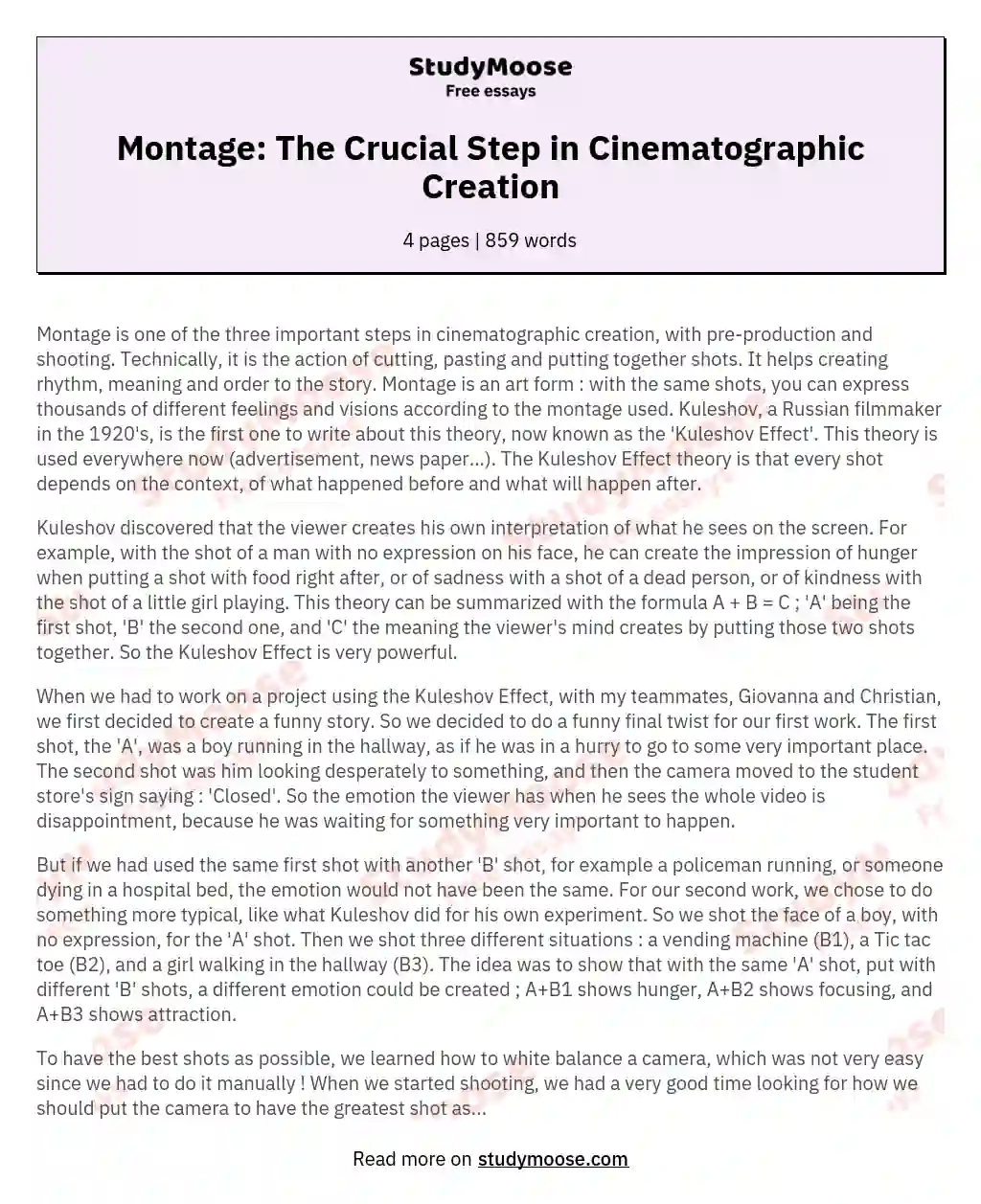 Montage: The Crucial Step in Cinematographic Creation essay