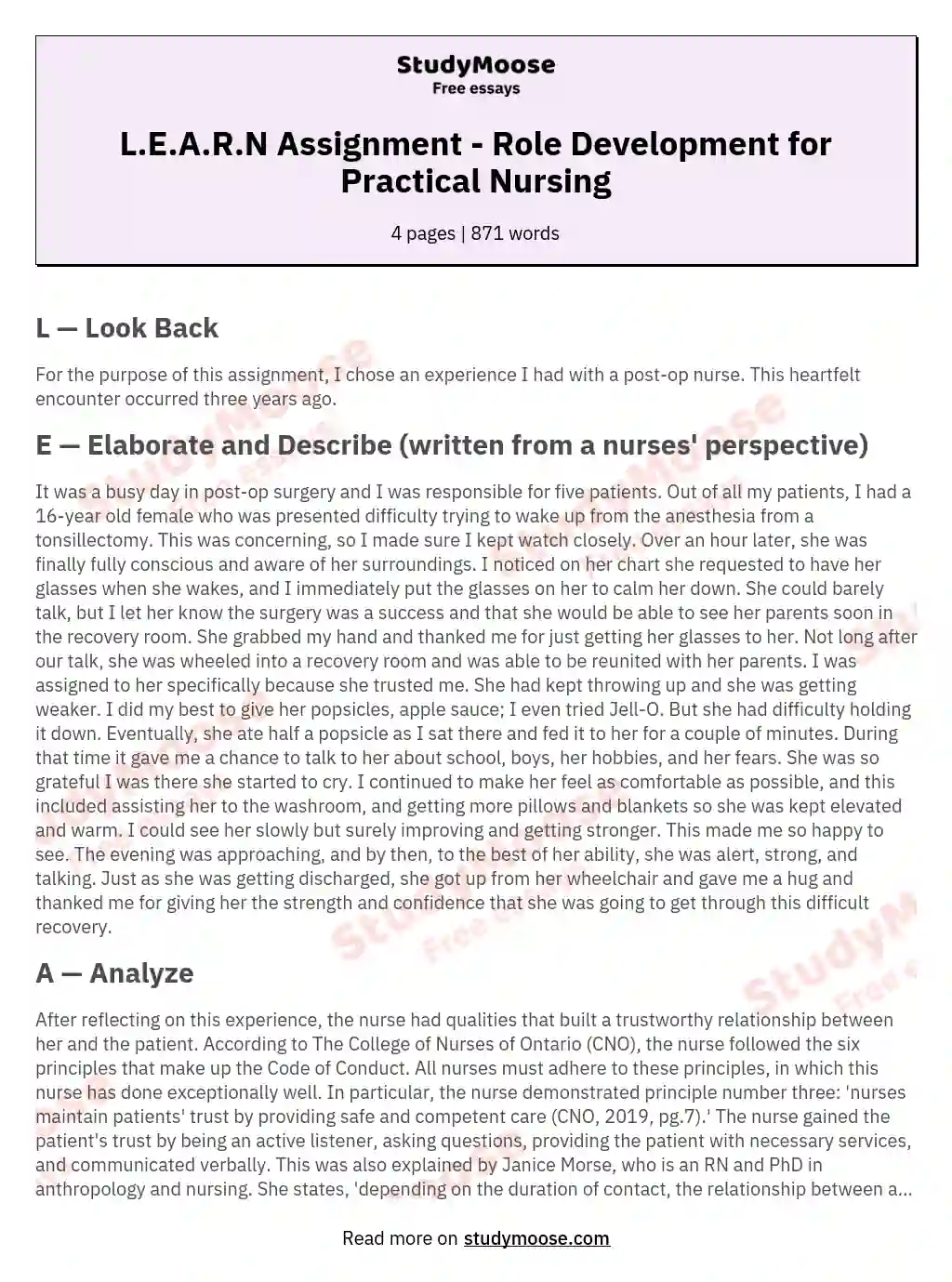 L.E.A.R.N Assignment - Role Development for Practical Nursing essay