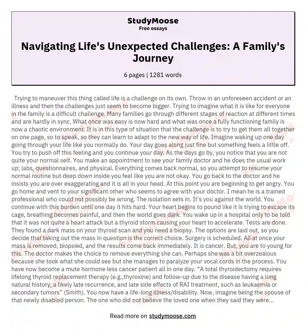 Navigating Life's Unexpected Challenges: A Family's Journey essay