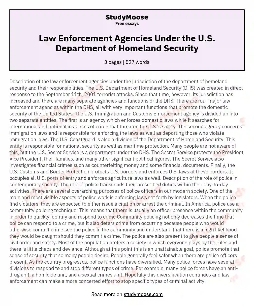Law Enforcement Agencies Under the U.S. Department of Homeland Security essay