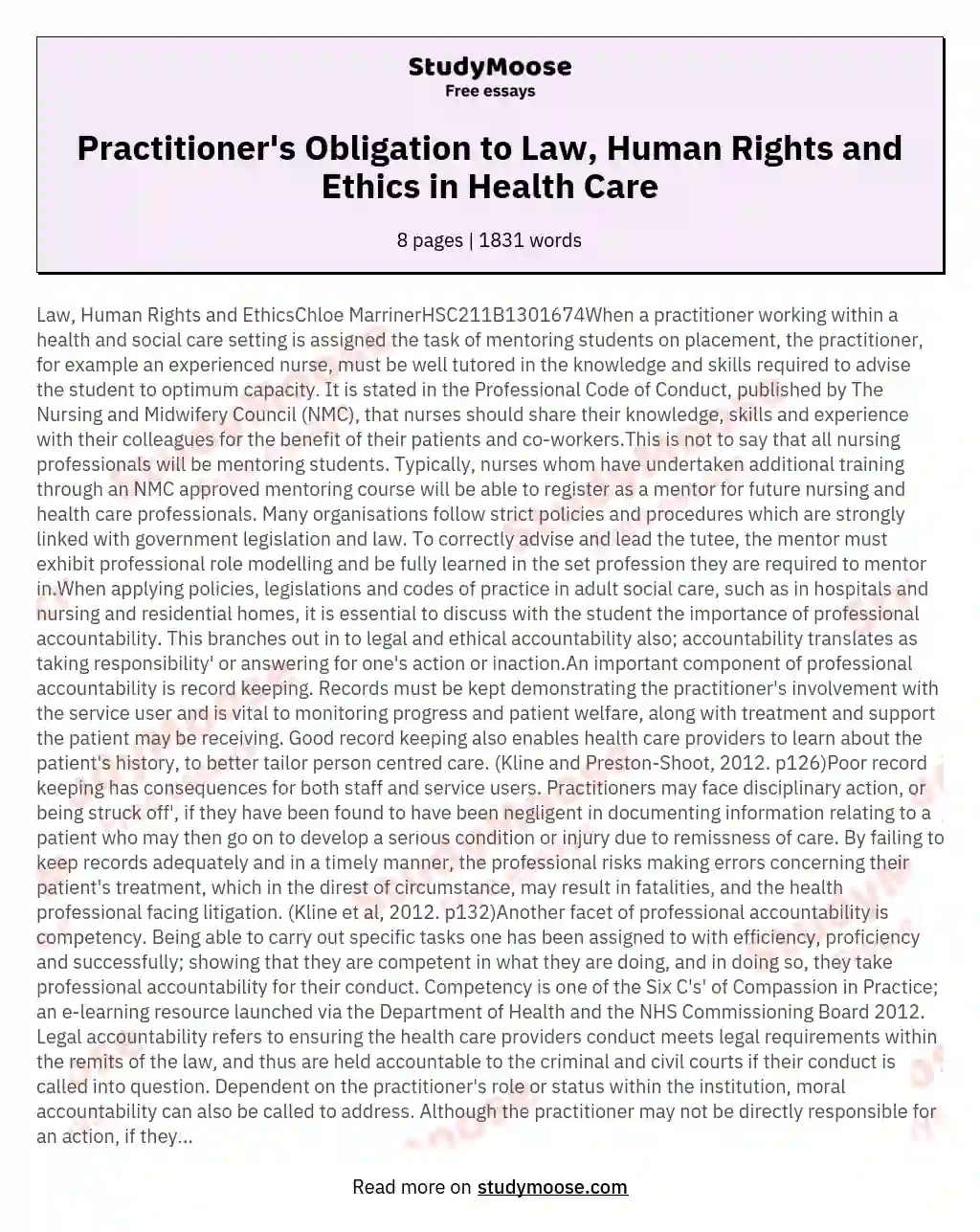 Practitioner's Obligation to Law, Human Rights and Ethics in Health Care essay