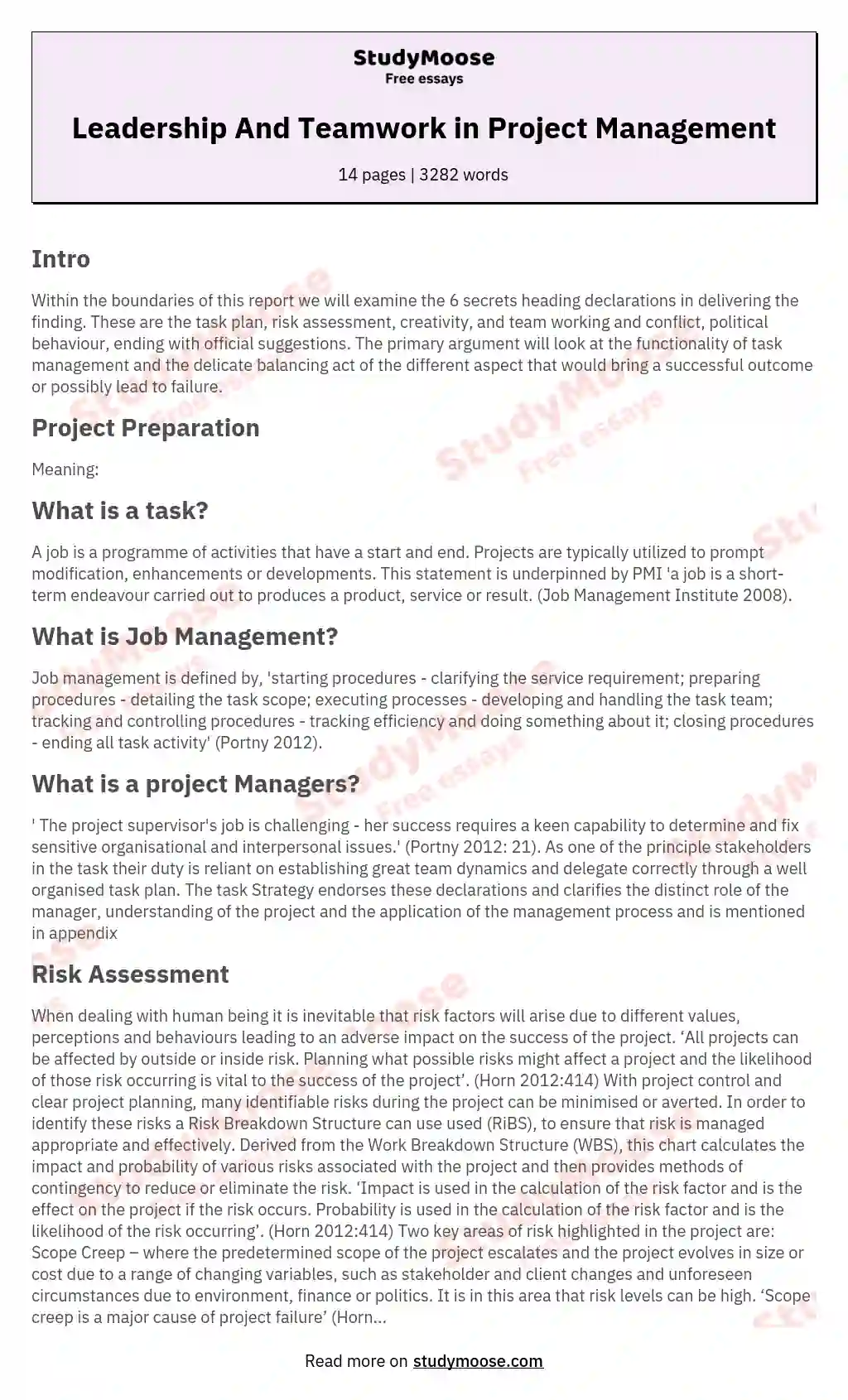 Leadership And Teamwork in  Project Management essay