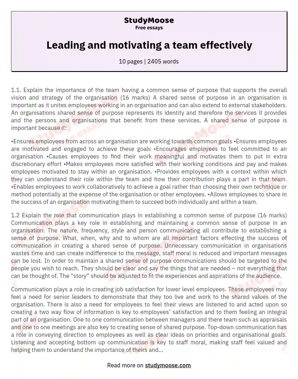 Leading and motivating a team effectively essay