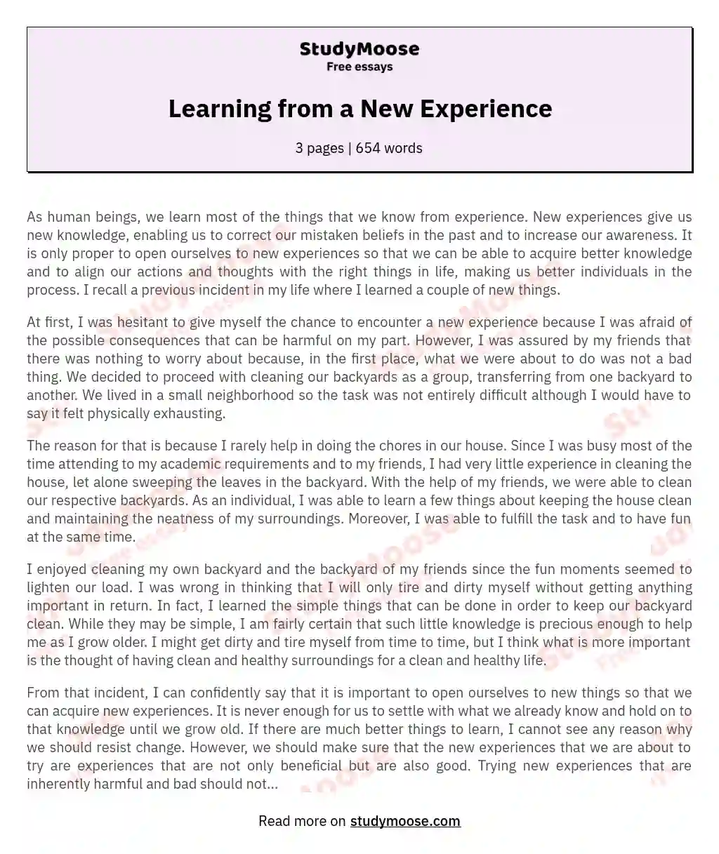 experience essay example