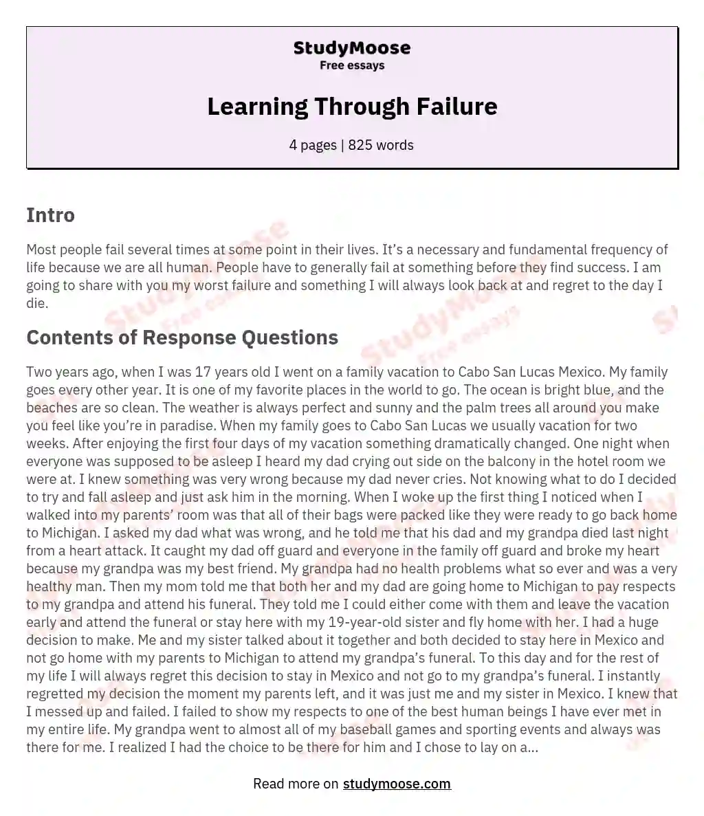 essay on learning from failure