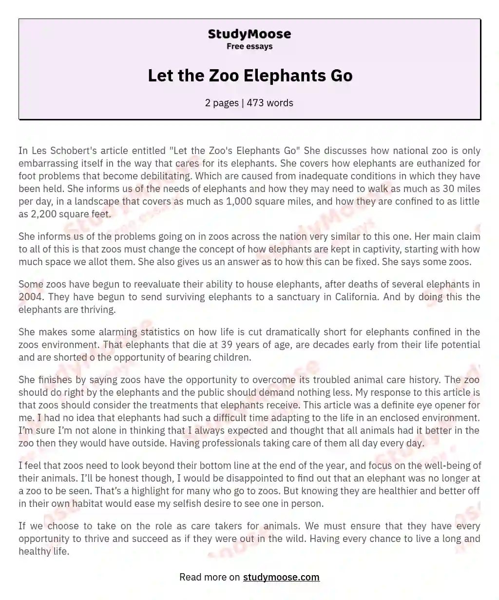 Let the Zoo Elephants Go essay