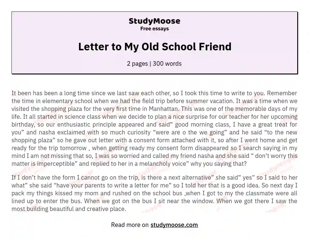 Letter to My Old School Friend essay