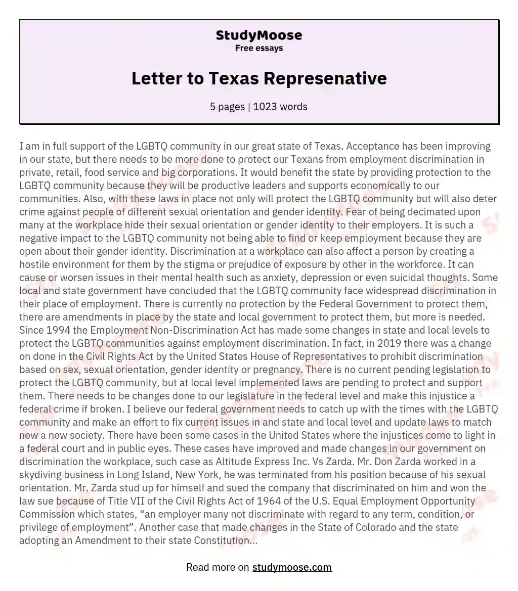 Letter to Texas Represenative essay