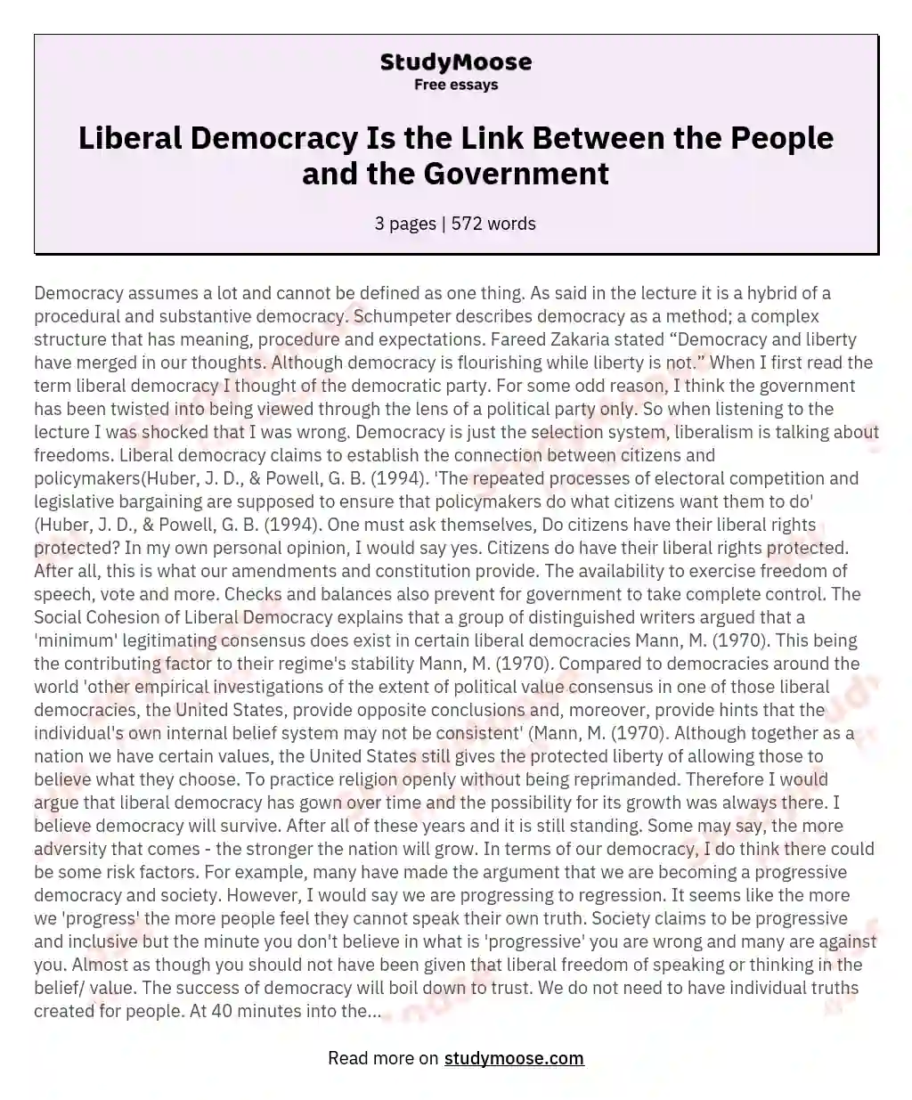 Liberal Democracy Is the Link Between the People and the Government essay