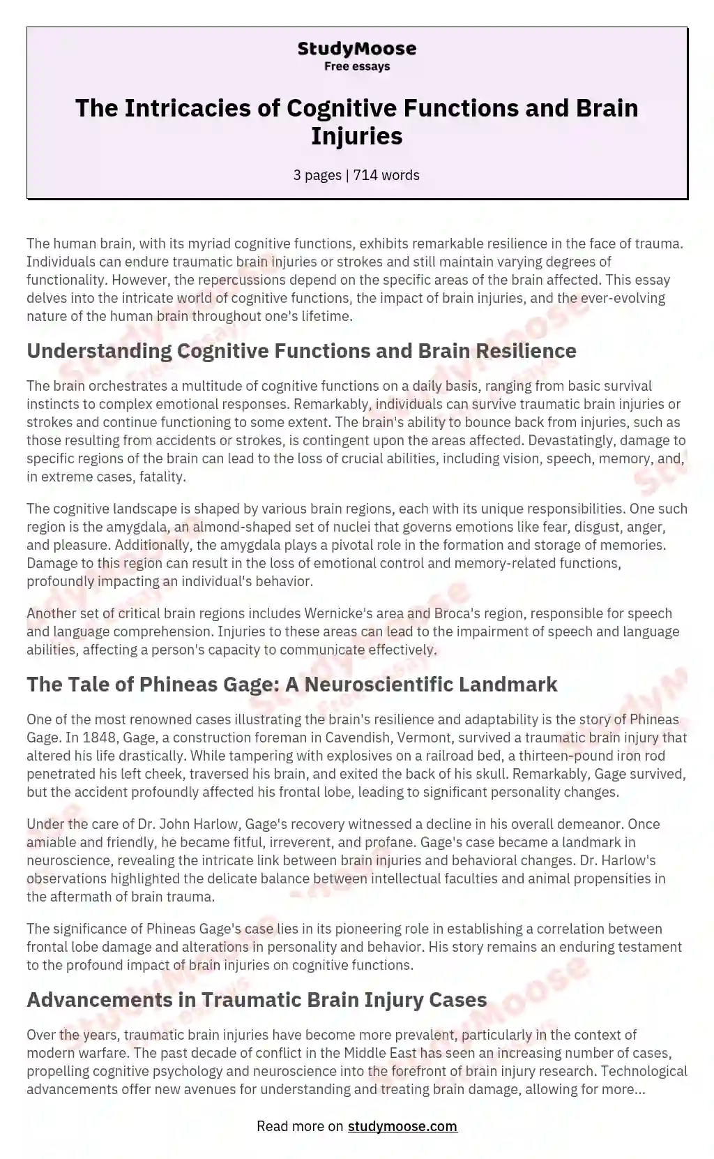 The Intricacies of Cognitive Functions and Brain Injuries essay