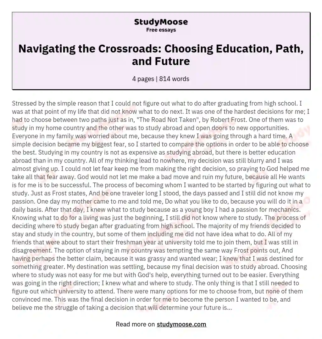 Navigating the Crossroads: Choosing Education, Path, and Future essay
