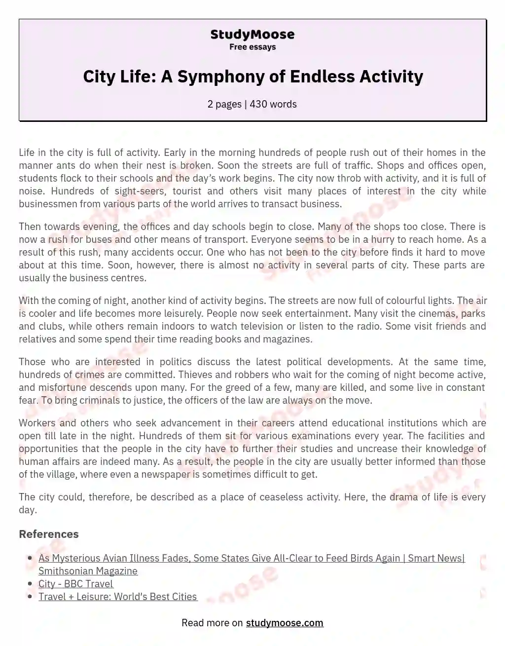 City Life: A Symphony of Endless Activity essay