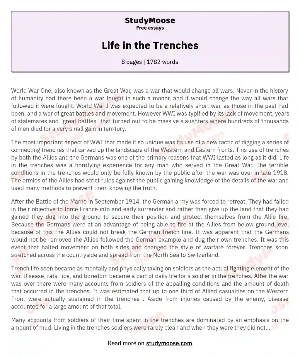 Life In The Trenches Free Essay Example