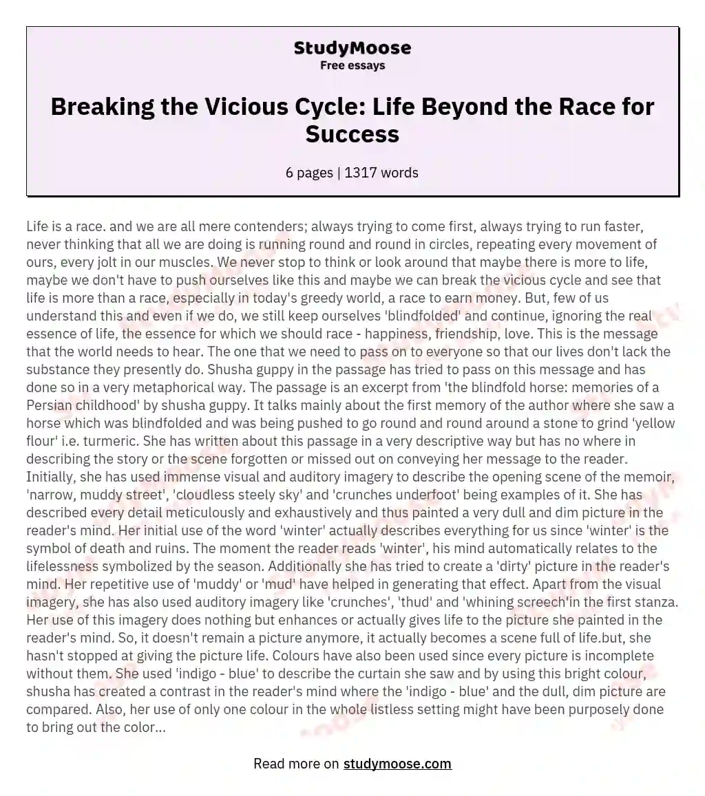 Breaking the Vicious Cycle: Life Beyond the Race for Success essay