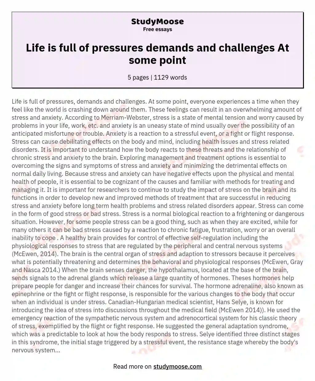 Life is full of pressures demands and challenges At some point essay