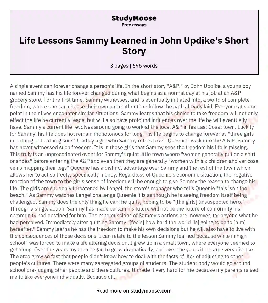 Life Lessons Sammy Learned in John Updike's Short Story essay