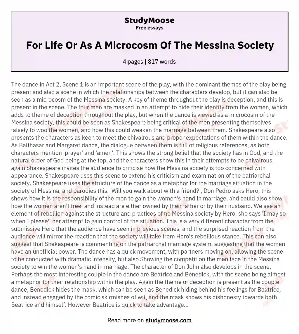For Life Or As A Microcosm Of The Messina Society essay